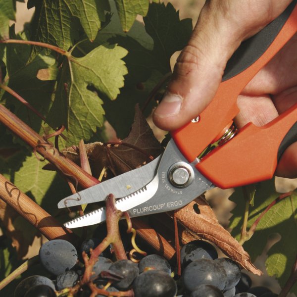 EDMA universal kombisaks med 2K-h�ndtag PluriCoup ERGO