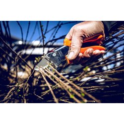 L&ouml;we beskrersaks 10 - Power Cut