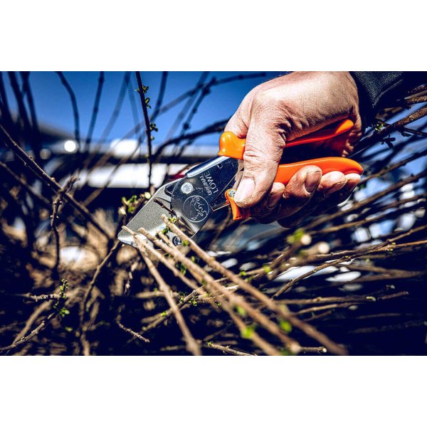 L&ouml;we beskrersaks 10 - Power Cut