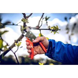 L&ouml;we beskrersaks 10 - Power Cut