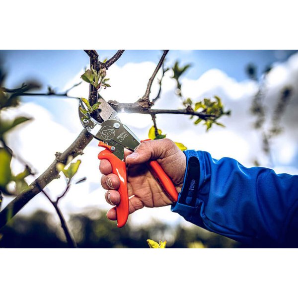 L&ouml;we beskrersaks 10 - Power Cut