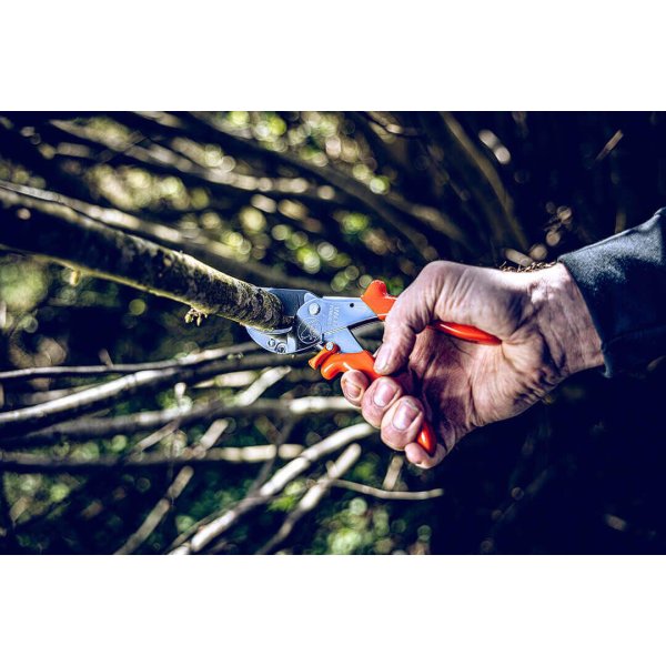 L&ouml;we beskrersaks 10 - Power Cut