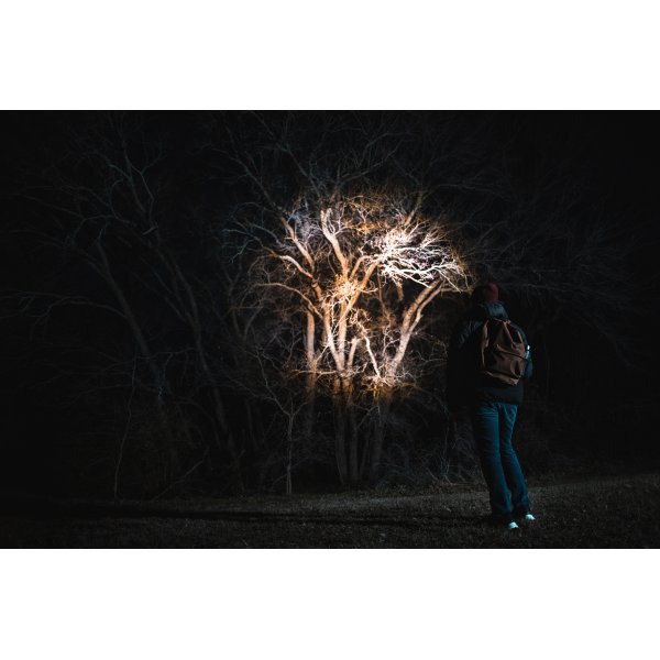 NEBO Franklin Twist lygte 400 lumen Alu - 2360016