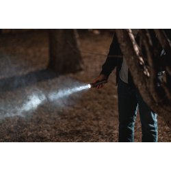 NEBO Franklin Pivot lygte 300 lumen Alu - 2360017