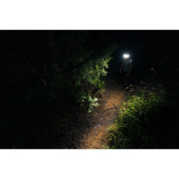 NEBO Curv Pandelampe hybrid 600 lumen - 2425474