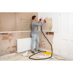 WAGNER SteamForce - 2159883