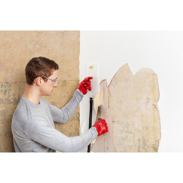 WAGNER SteamForce - 2159883