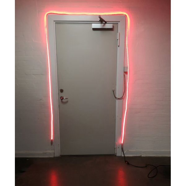 BLUE ELECTRIC Flex-Line LED strip BasicLine 900 lm/m V2.0 5m rd - 2353340