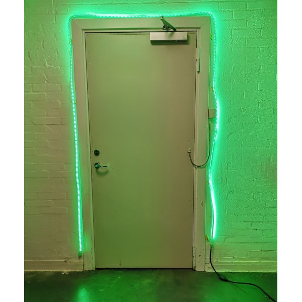 BLUE ELECTRIC Flex-Line LED strip BasicLine 900 lm/m V2.0 5m grn - 2353335