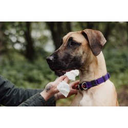 UltraGrime&reg; Life Pet Care Wipes - 2320372