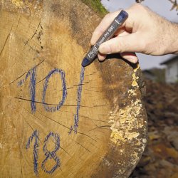 PICA Classic mrkekridt PRO hvid - 1784254